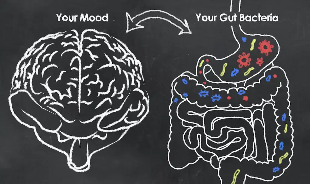 Vaidyaraj Anil says, 'World is toxic for Reproduction. Gut Health is the Antidote to ADHD, ASD and issues Post-Natal’